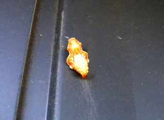 R0014533s.jpg