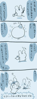 kam_r1395.jpg