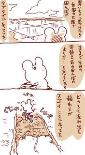 kam_r1406.jpg