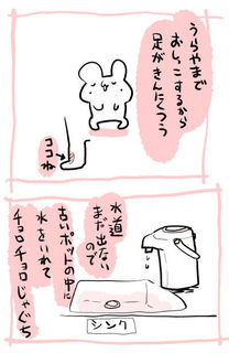 kam_r1536.jpg